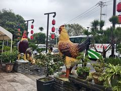 -头上红煨盐鸡·非遗院子餐厅