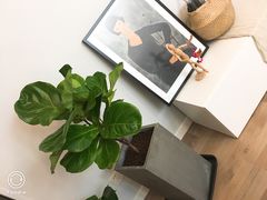 -秦美花卉(天朗·莱茵小城2期店)