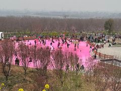 -古柏渡飞黄旅游区