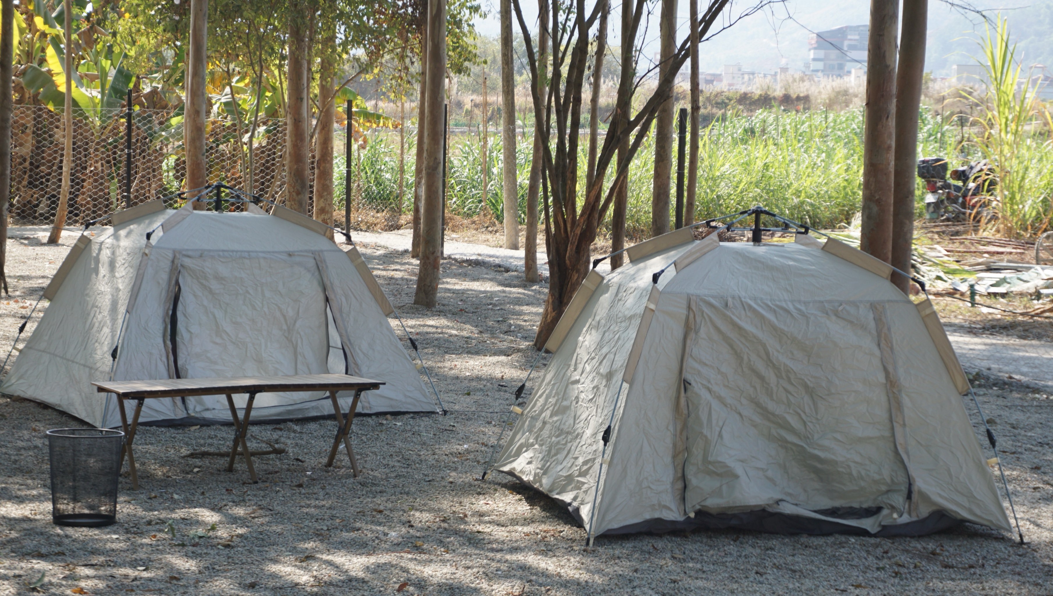 wq是啥意思，wq是啥意思缩写