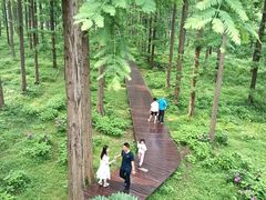 -黄海国家森林公园