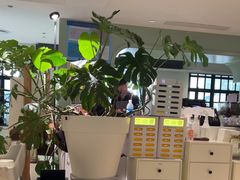 -一尺花园(安和花园店)