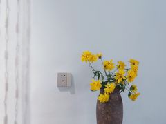 -树咖啡tree coffee