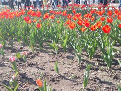 -长春公园(普阳街道)