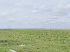 -花湖生态旅游区