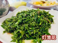 -晓雯人家