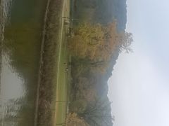 -千年银杏谷文化旅游区