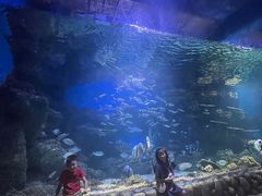 -华夏文旅海洋公园