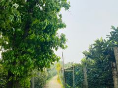 -东山风景区(洞庭东山)