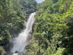 -姑婆山旅游区