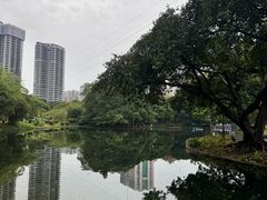 -晓港公园