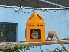 -青藏高原野生动物园