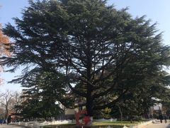 -青岛德国总督楼旧址博物馆