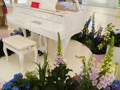 -天河城购物中心