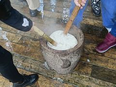 -武陵山森林公园