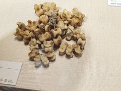 -苏州园林博物馆