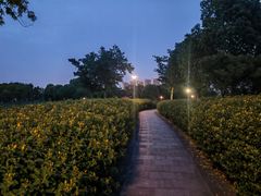 -长广溪湿地公园