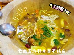 石锅鱼-云南野生菌石锅鱼石锅鸡(大金塔店)
