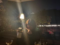 -毛辣果·酸