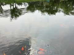 -鄱阳湖国家湿地公园