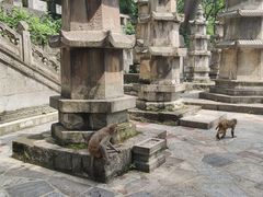 -黔灵山公园