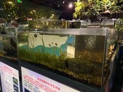 -上海大自然野生昆虫馆(东方明珠·爬宠昆虫探索中心)