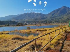 -腾冲北海湿地
