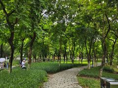 -番禺大夫山森林公园