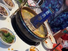 -董记老清泉·鲜切涮羊肉(窑岭店)