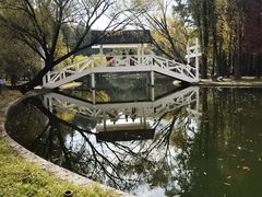 -上海共青森林公园