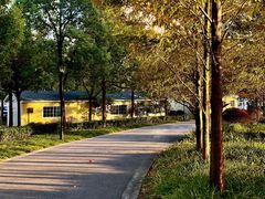 -上海山野camping·户外天幕烧烤·团建拓展营地
