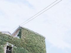 -枸杞岛