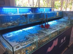 -佰园全日西餐厅-厦门佰翔软件园酒店