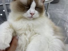 -爱洗澡的猫(天河路店)