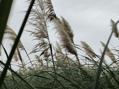 -中国天府农业博览园