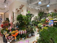 -T11生鲜超市(朝阳公园店)