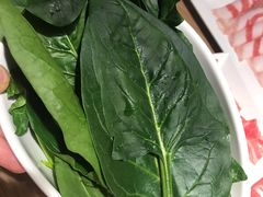 -彤德莱火锅(乐陵路店)