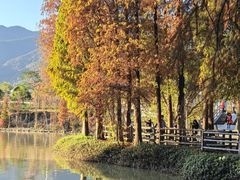 -星湖旅游景区七星岩