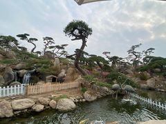 -罗红摄影艺术馆