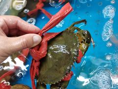-正能量1号海鲜加工店