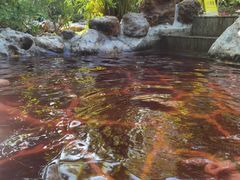 -广州锦绣香江度假别墅