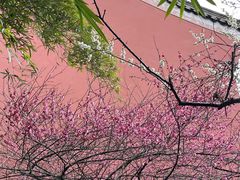 -钱王祠
