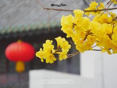 -光孝寺