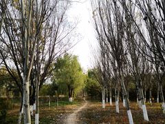 -东郊湿地公园