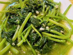 红薯叶-华兴餐厅·招牌生鱼片(桃园路店)