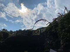 -野象谷景区