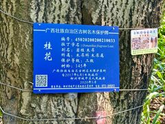 -柳侯公园