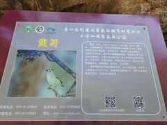 -北京上方山国家森林公园