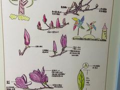 -上海昆虫博物馆