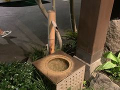 -黒豚料理 寿庵(中央駅西口店)